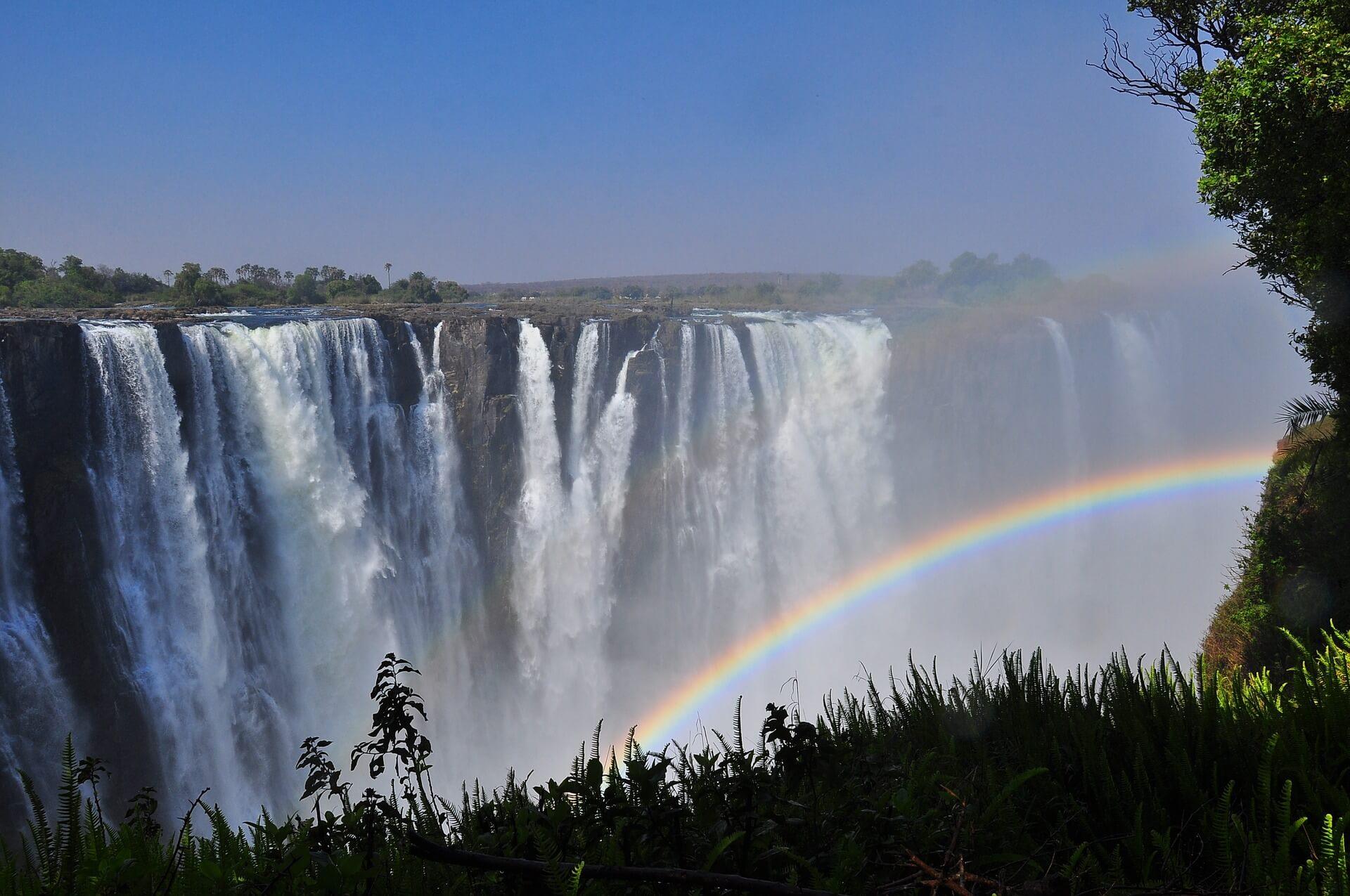 A Zimbabwe Safari Through Jan’s Eyes