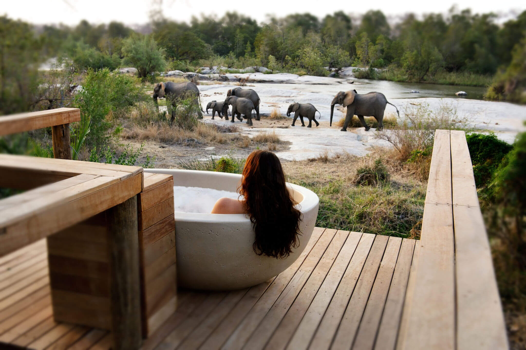 Safari bien-être : Éveillez-vous à la nature à Londolozi