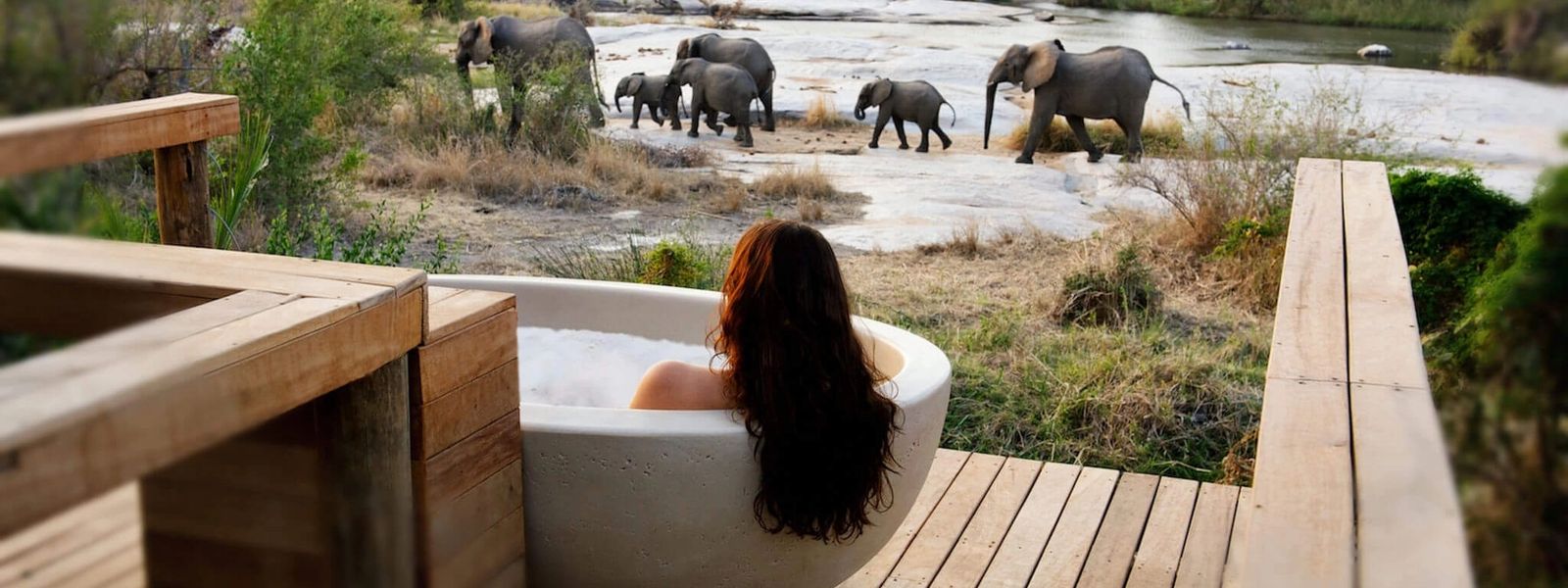 Safari bien-être : Éveillez-vous à la nature à Londolozi
