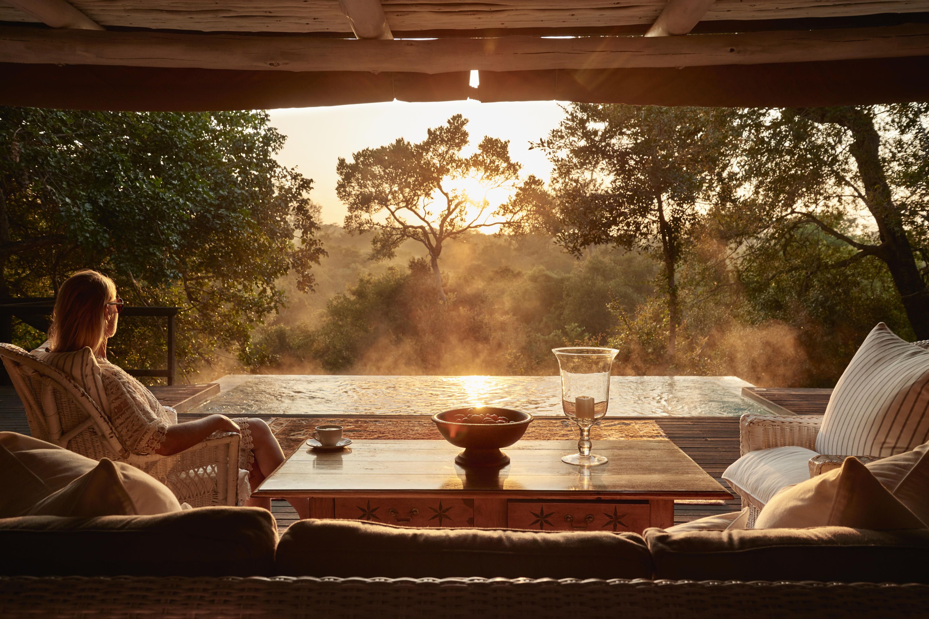 5 Raisons de Visiter l'Afrique du Sud en 2025
