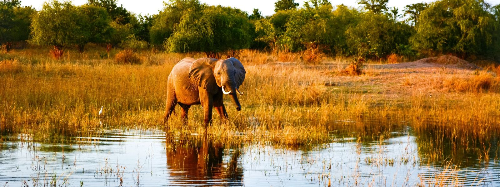 Why Your Next Holiday Should be a Lake Kariba Safari