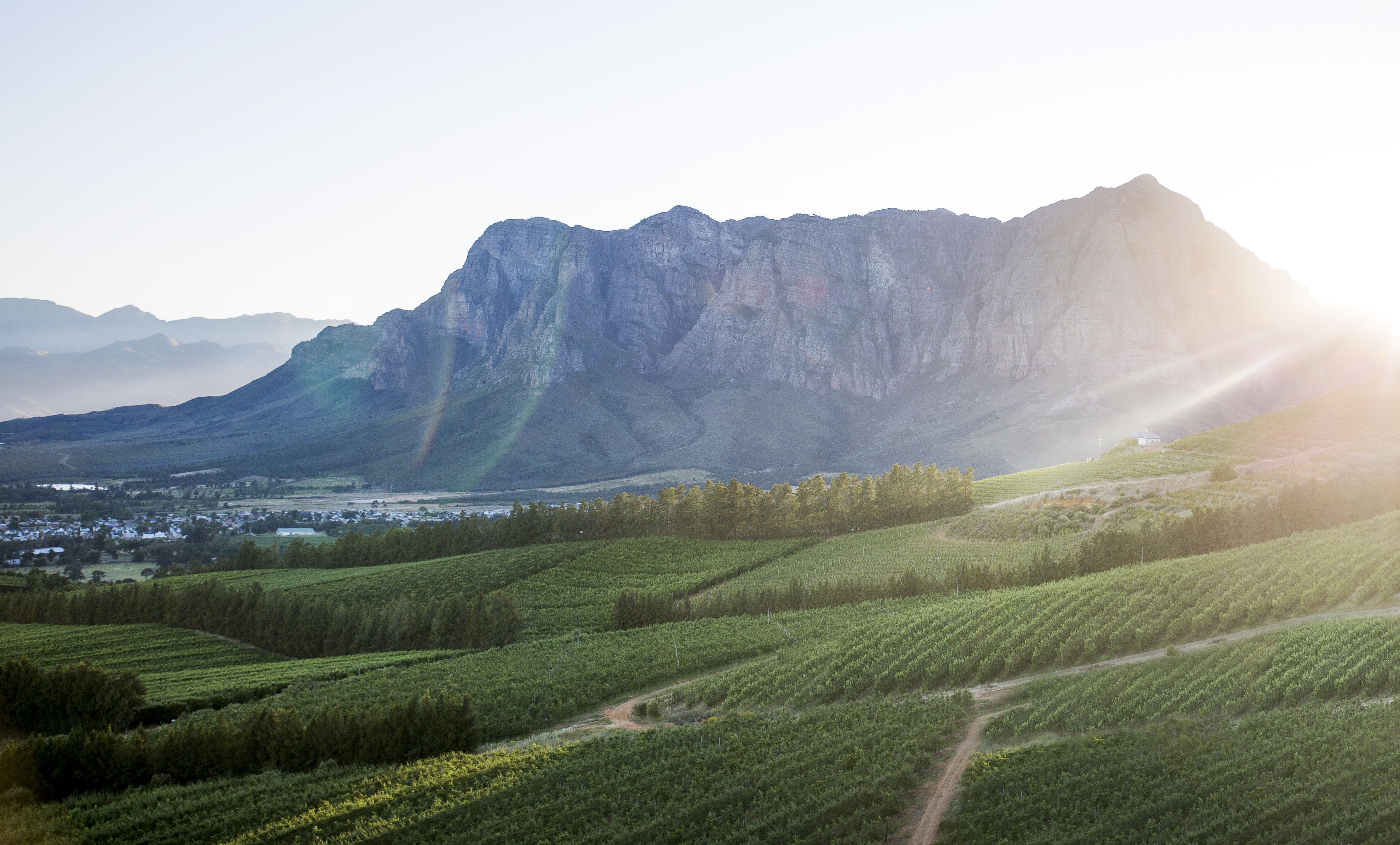 La Route des Vins | Afrique du Sud
