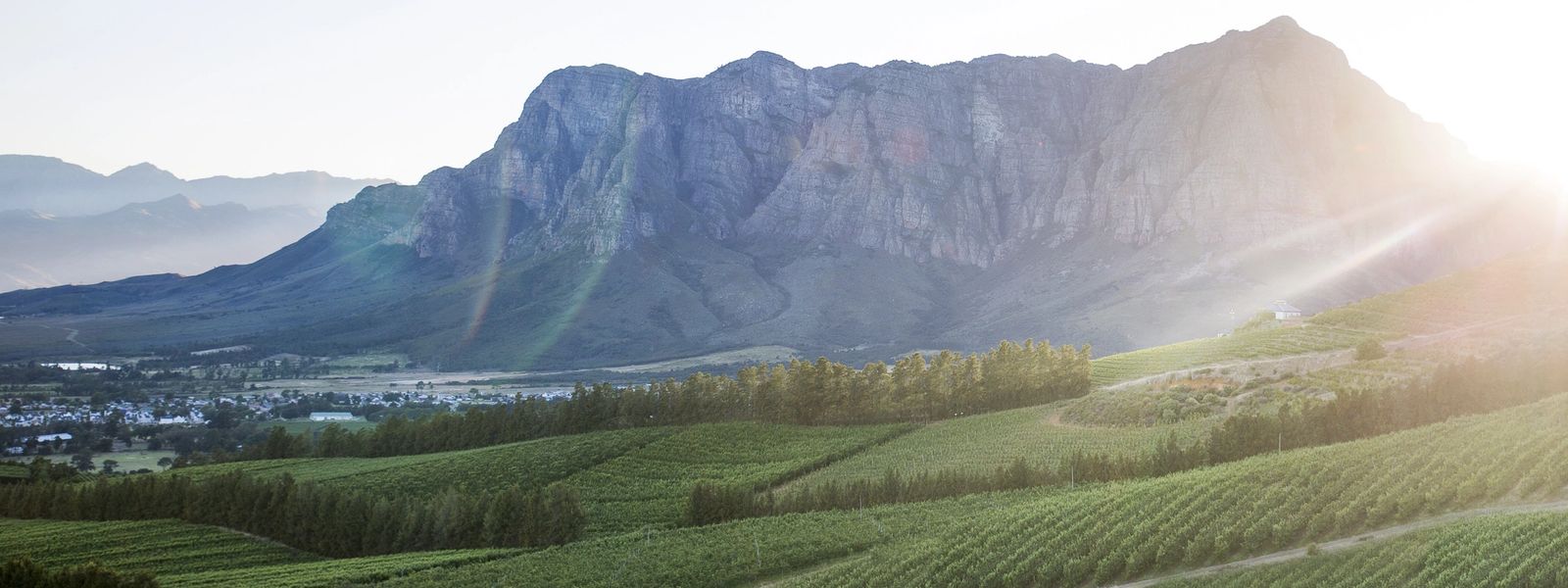 La Route des Vins | Afrique du Sud