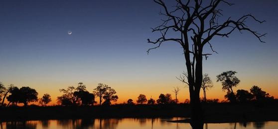 Sambia-Safari: Wo die Wildnis näher rückt