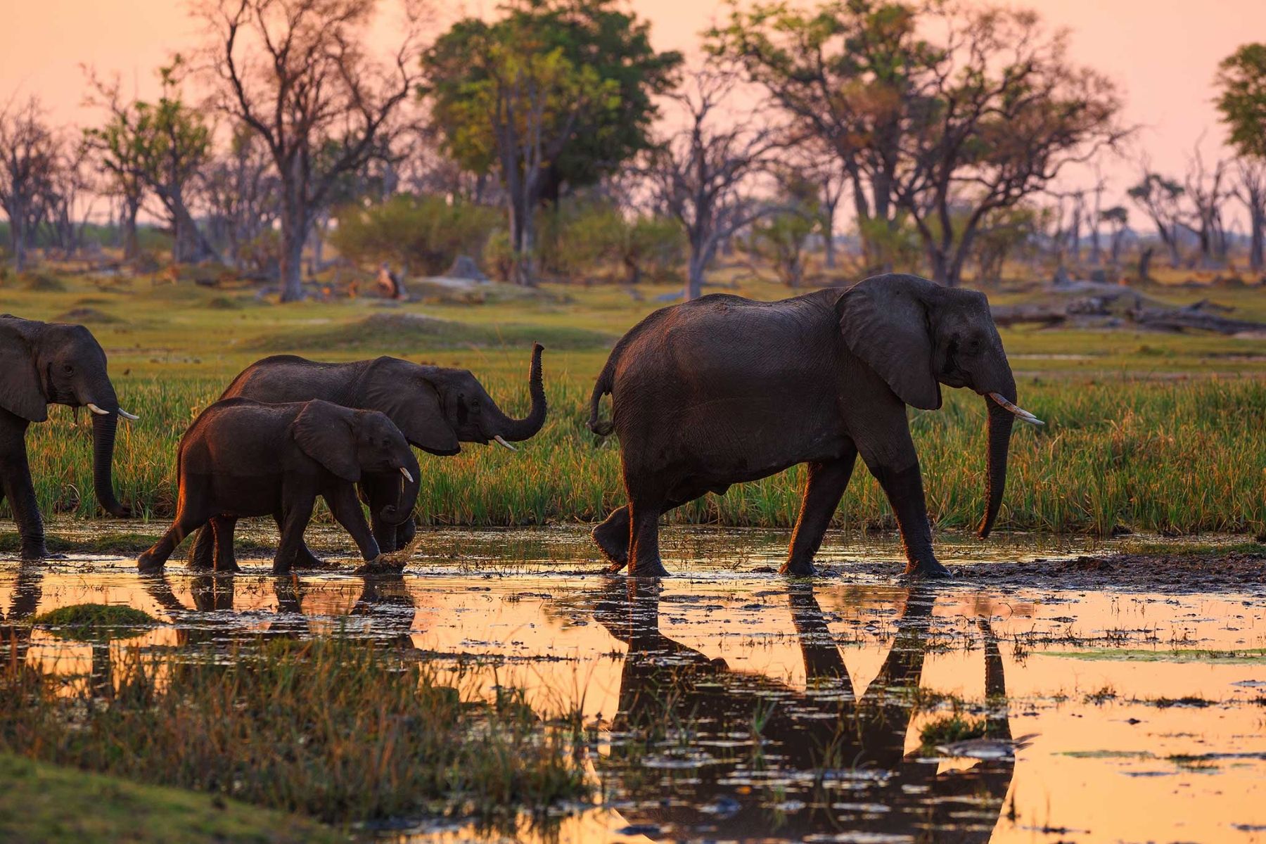 Wann ist die beste Reisezeit für Botswana?