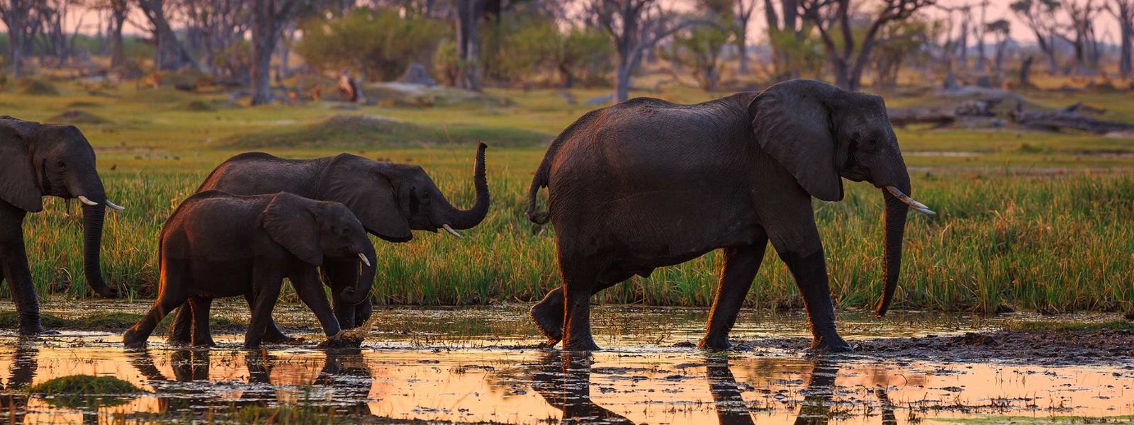 Wann ist die beste Reisezeit für Botswana?