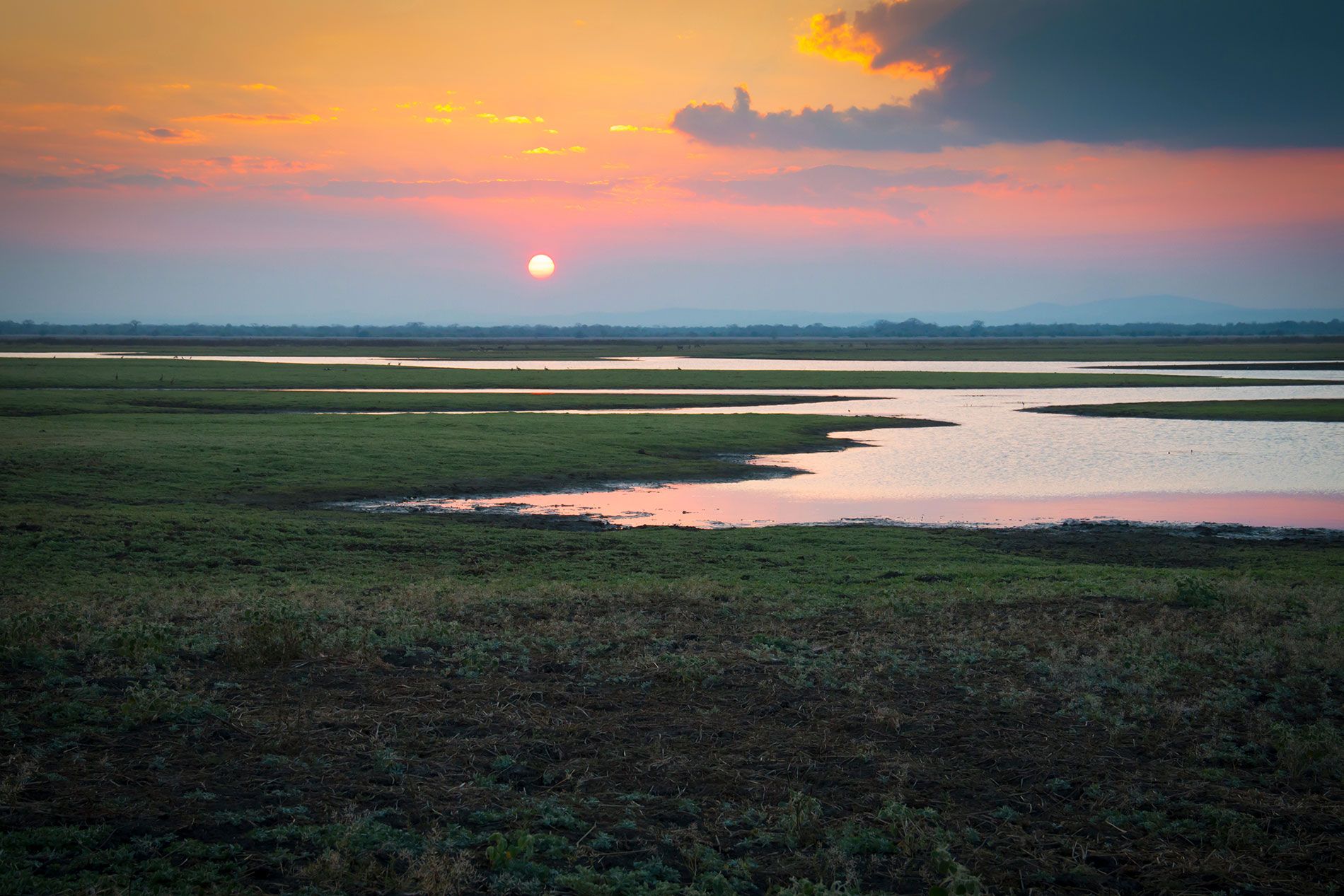 Parque Nacional de Gorongosa: Explorando el milagro de Mozambique