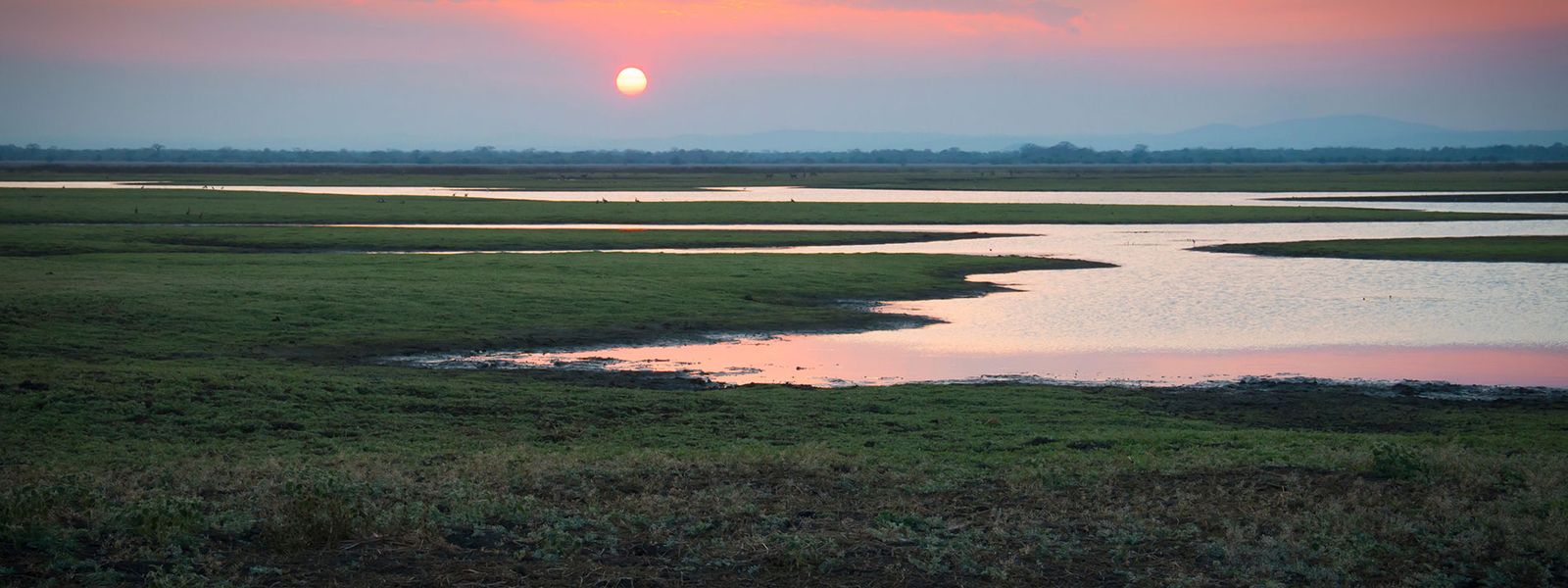 Gorongosa : Explorez le véritable miracle du Mozambique