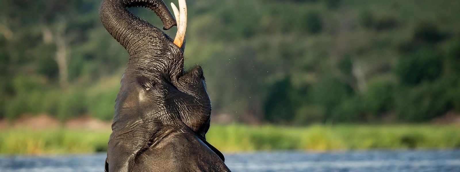 Why I Loved Visiting Botswana in April (And Why You Will, Too)