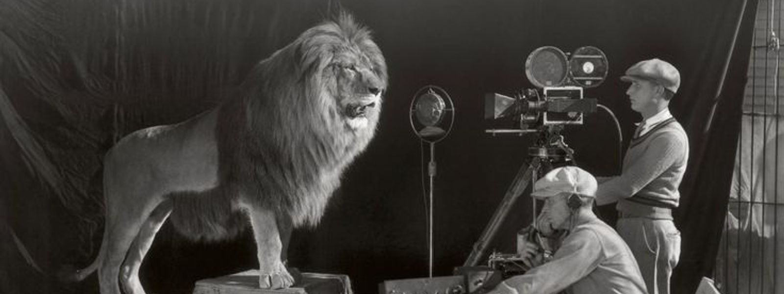 Chroniques du cinéma africain : débuts et essort