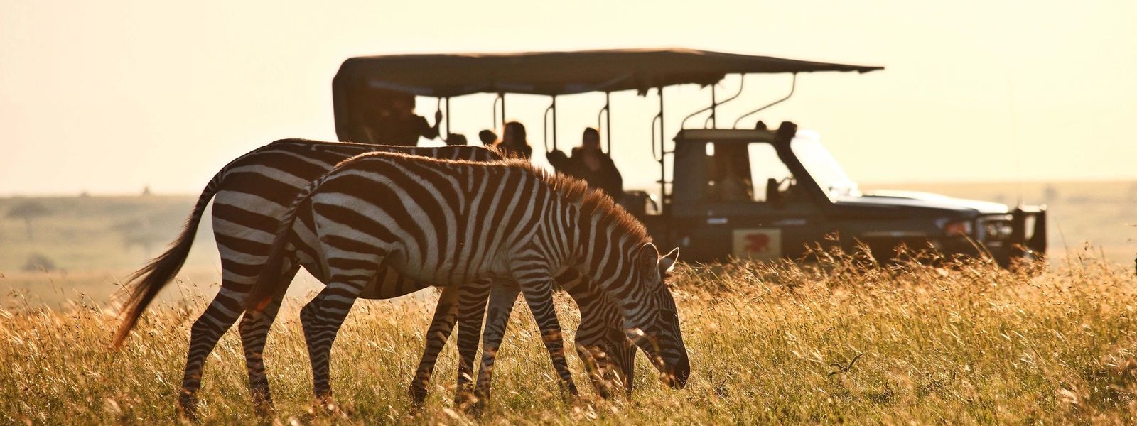 Safári na África Oriental e Austral | O que esperar de cada experiência