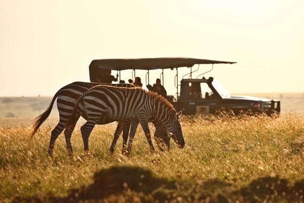 Safári na África Oriental e Austral | O que esperar de cada experiência