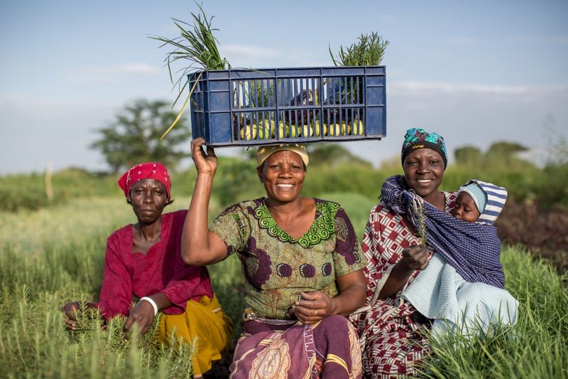 Local African women smiling after harvesting some vegetables