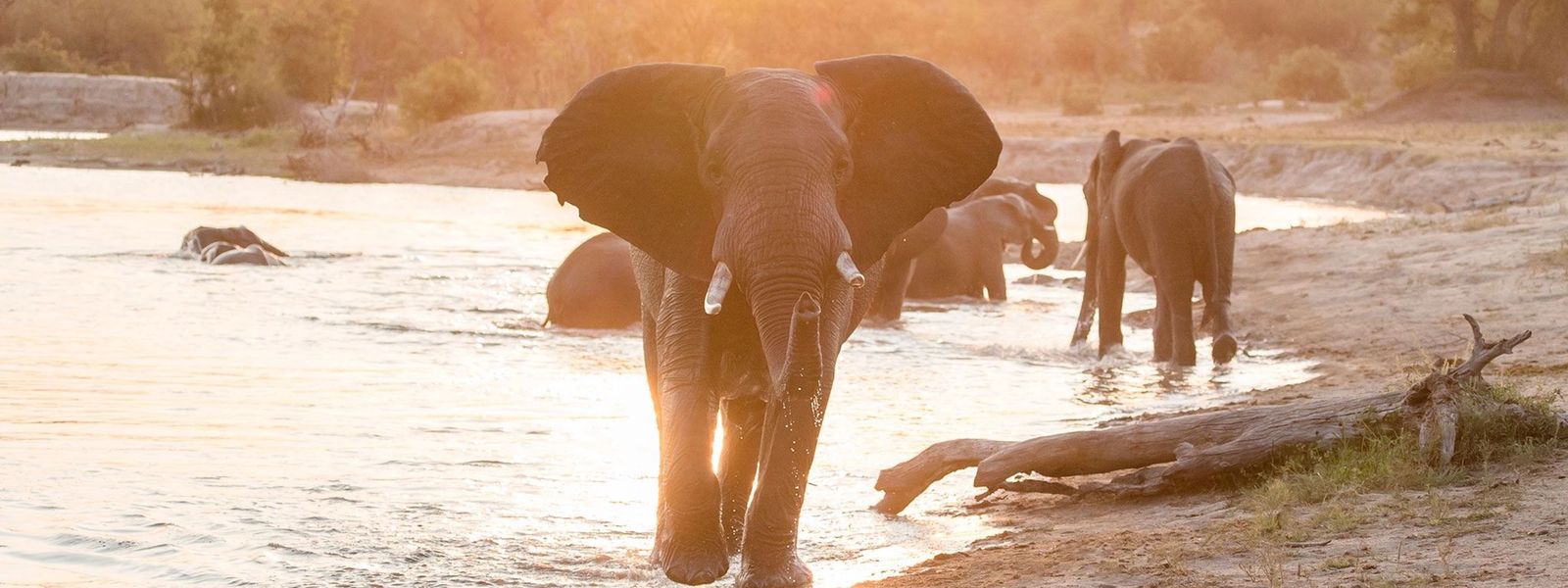 Finalmente… A África do Sul está aberta para todos