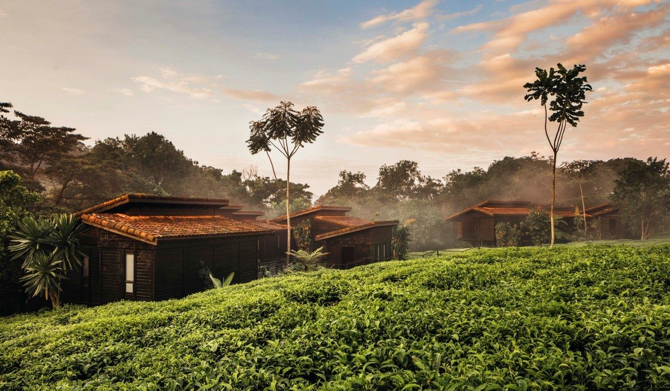 Tour por Ruanda y la República del Congo