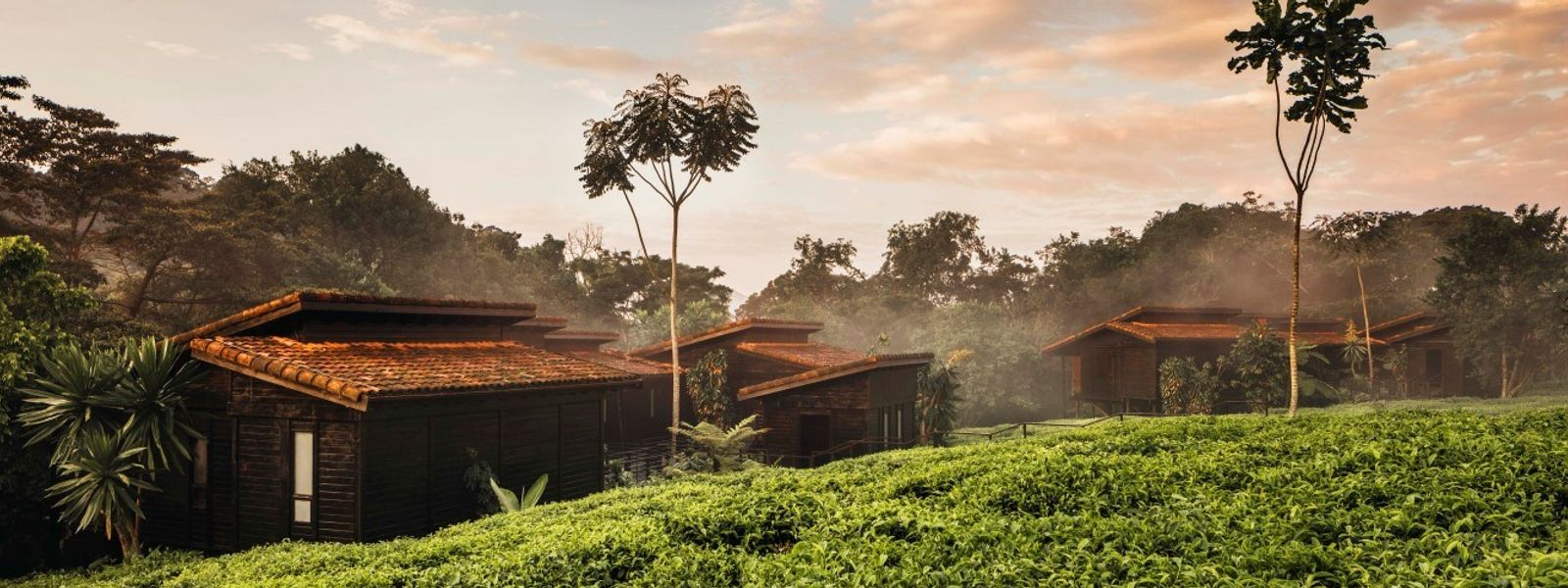 Tour por Ruanda y la República del Congo