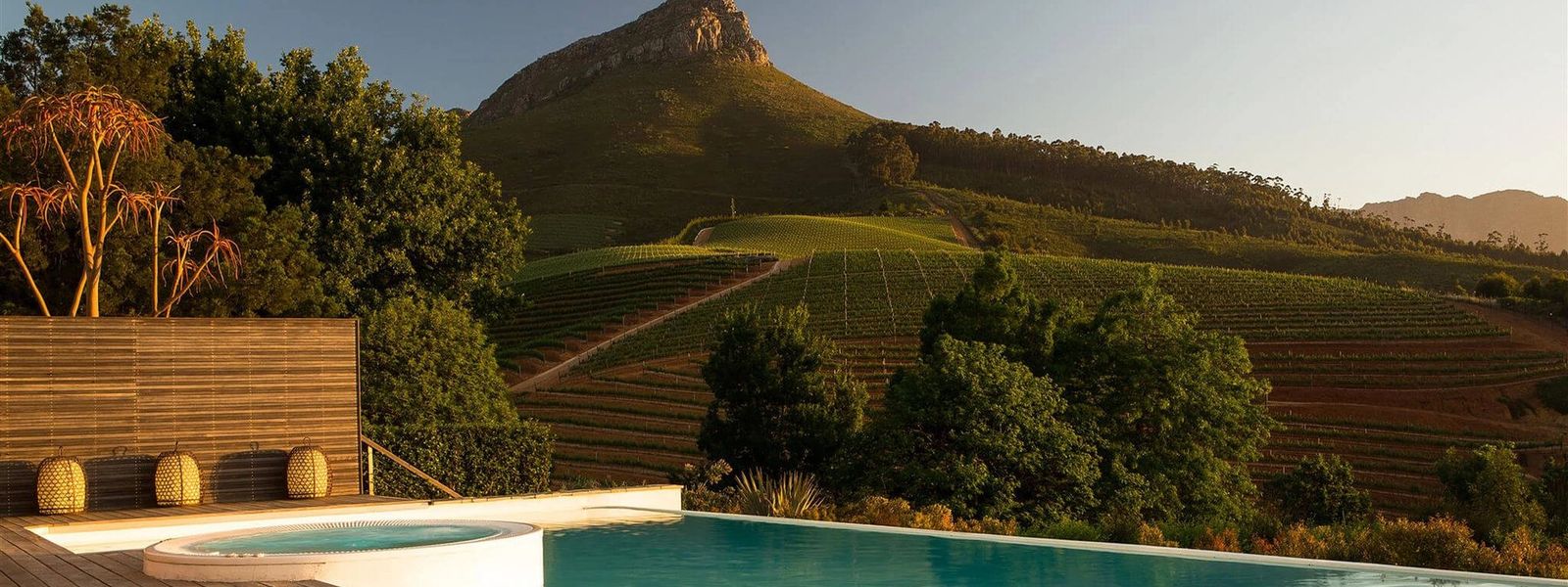 Wine Not Enjoy The Cape Winelands With The Whole Family?