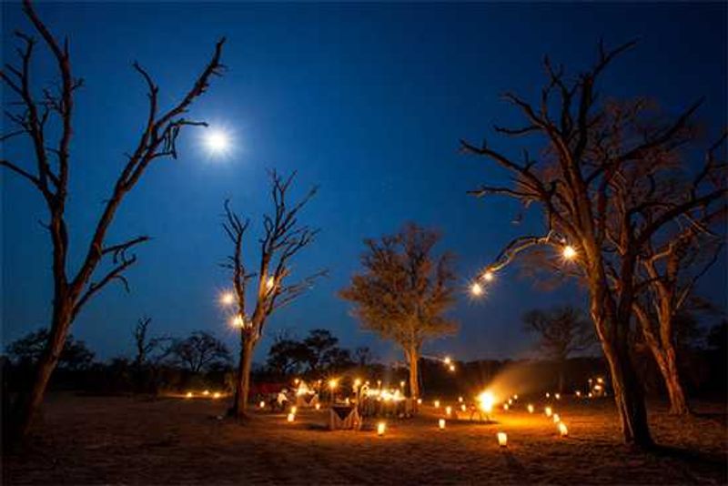 Photograph by Rich Laburn | Londolozi