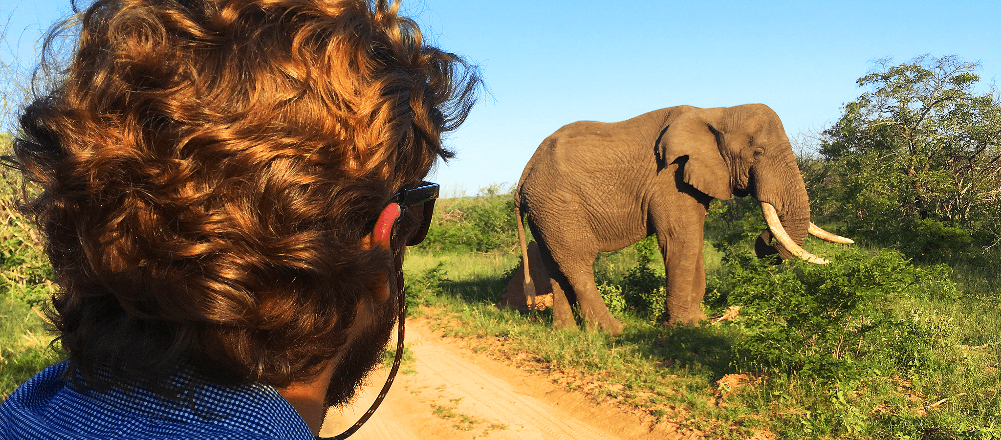Uma experiência de safári na Reserva Karongwe, África do Sul