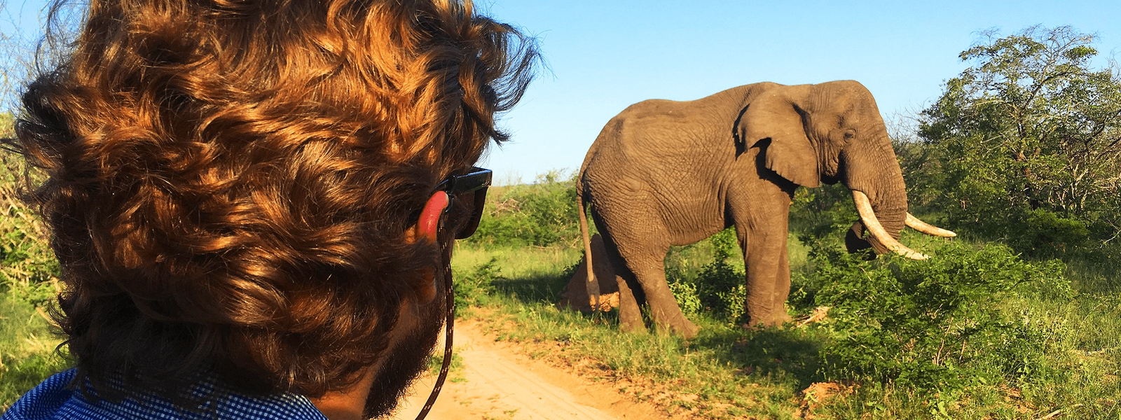 Uma experiência de safári na Reserva Karongwe, África do Sul