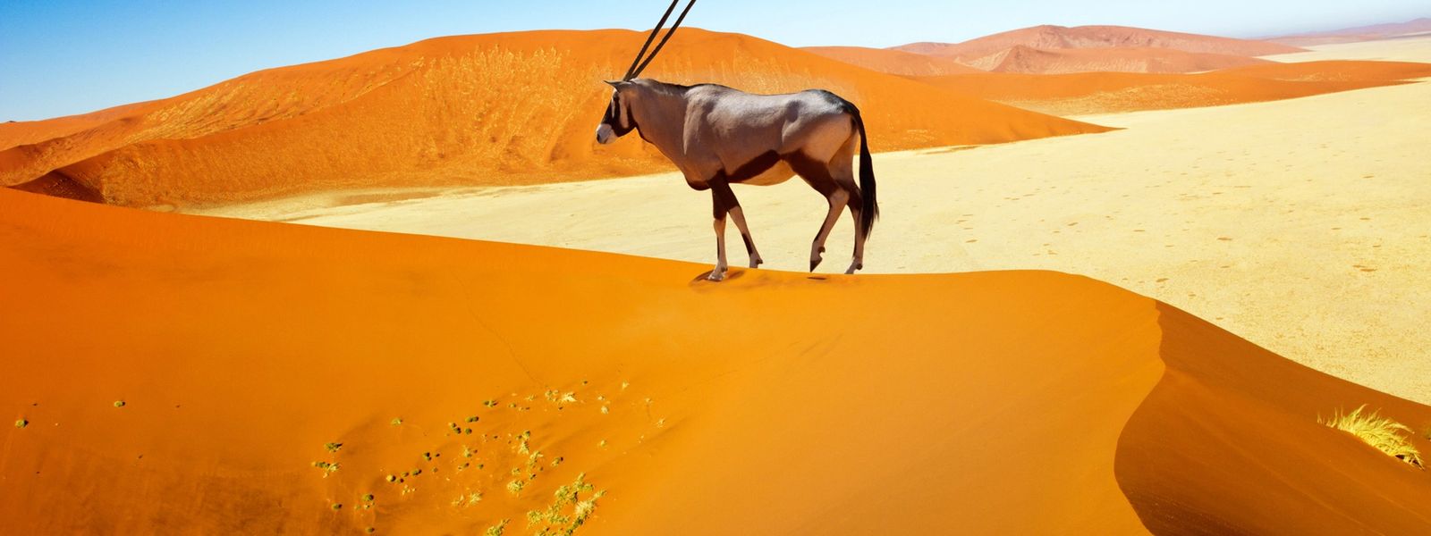 Meine Reise | Afrika für Einsteiger: Namibia