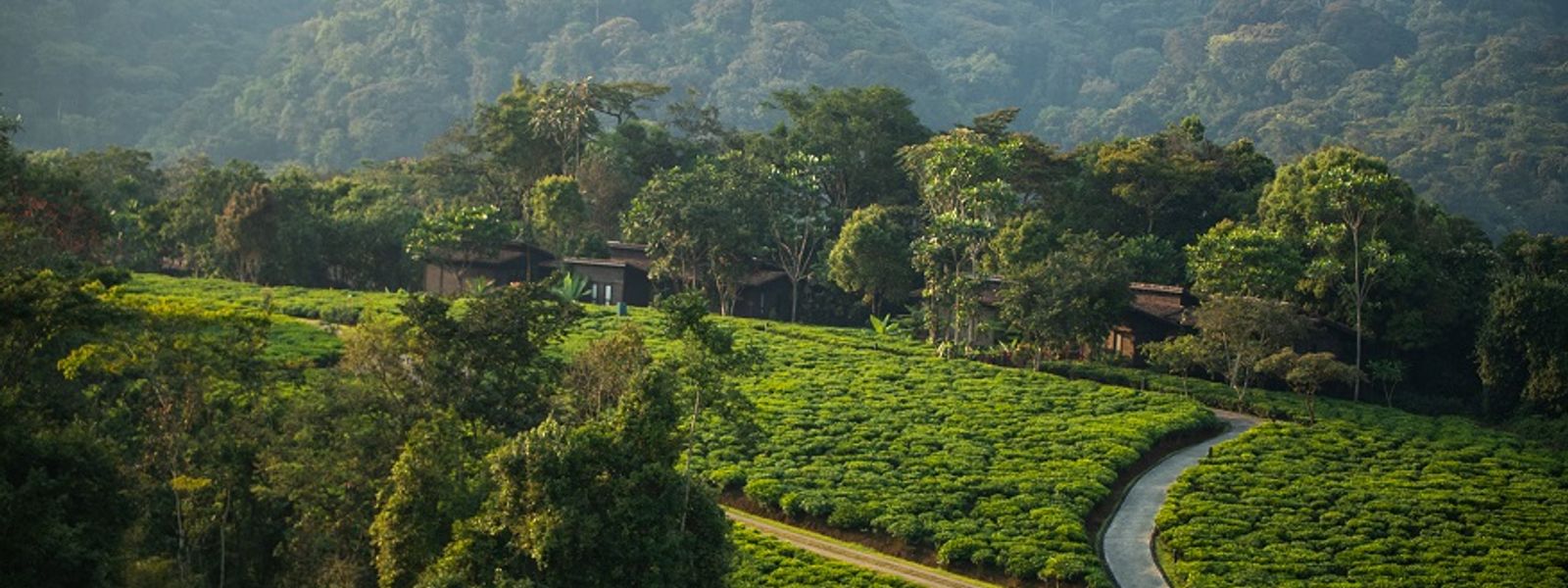 Qual é a melhor época para visitar Ruanda?