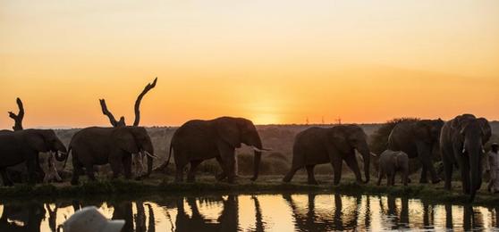 Lodges Lujosos en Sudáfrica con los Mejores Parajes del Río