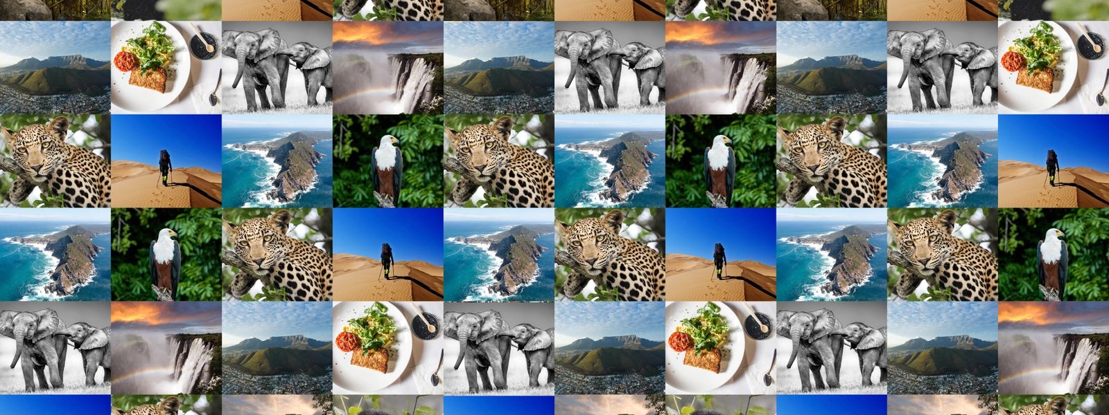 We’re nominated for SA Blog Awards! Here are our top 10 blogs from 2016