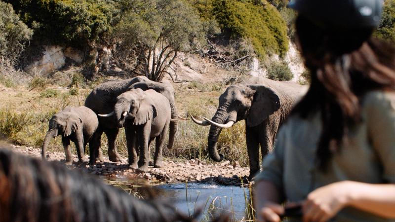 Woman on a horseback safari watching elephants, Image credit: Botlierskop Game Reserve