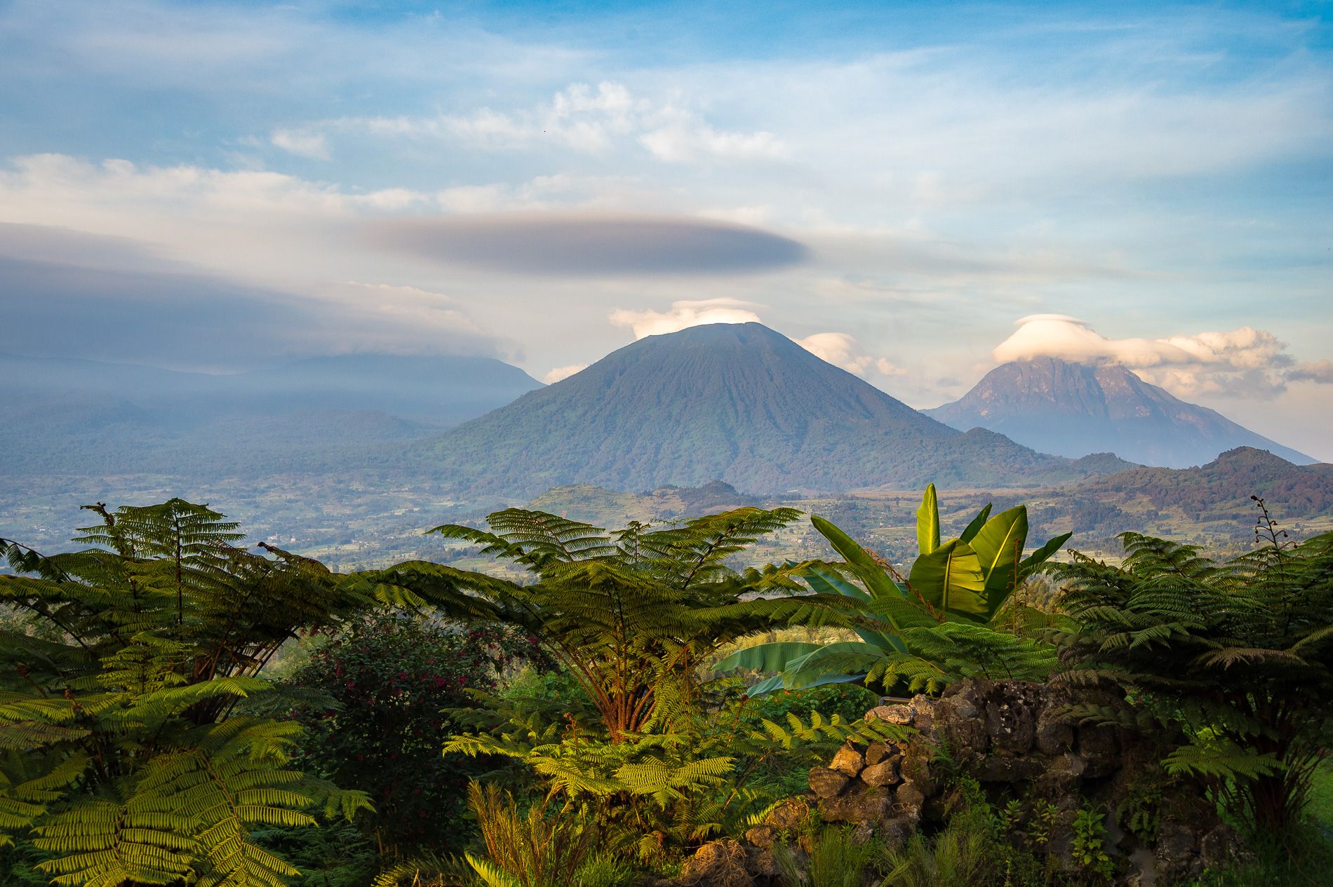 When Is The Best Time to Visit Rwanda?