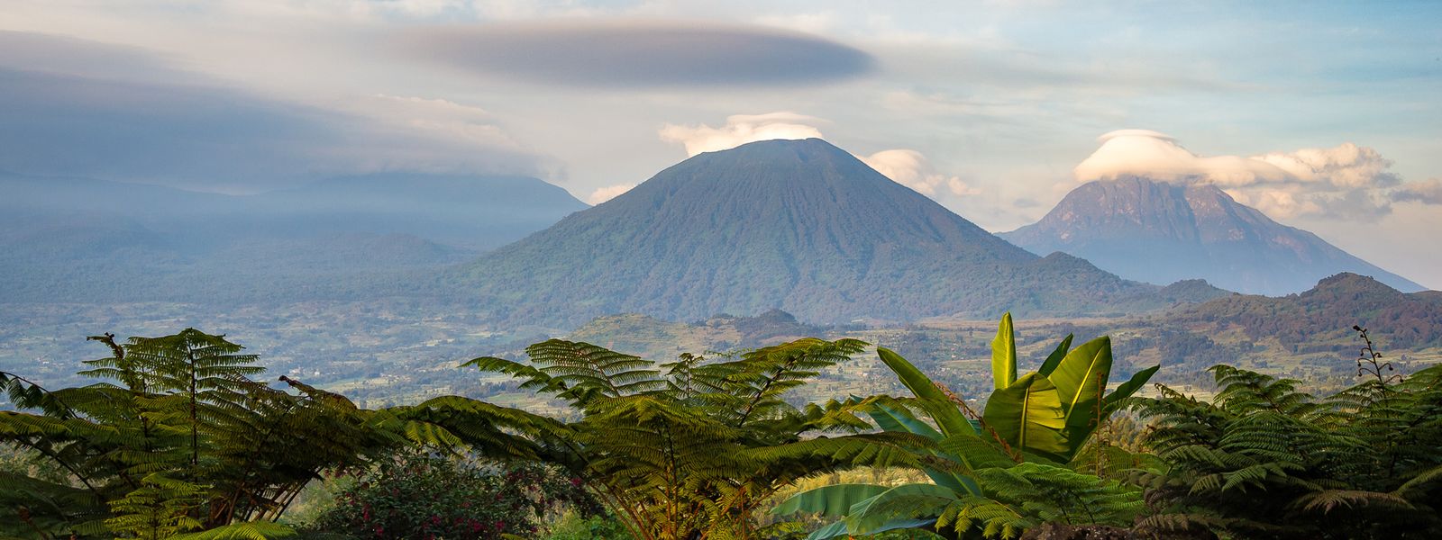 When Is The Best Time to Visit Rwanda?