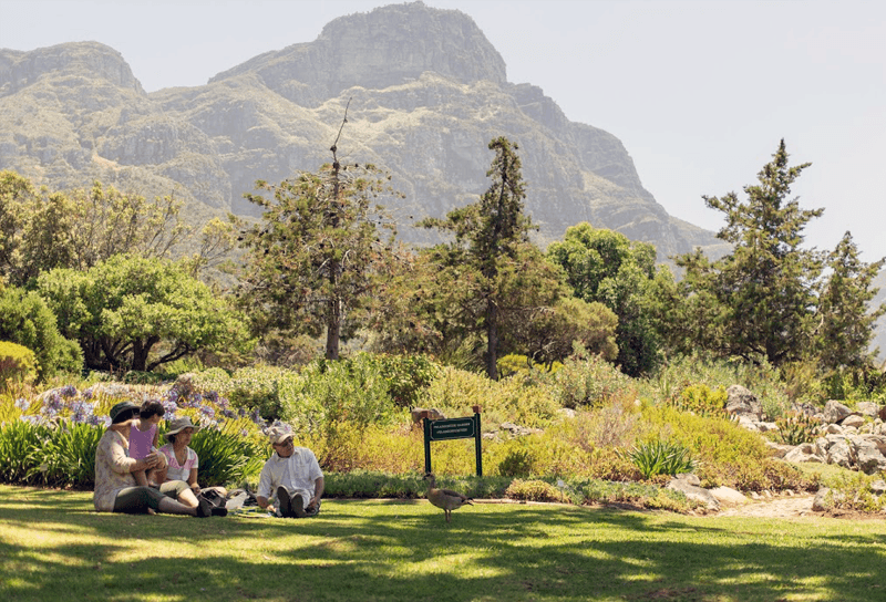 Piqueniques em Kirstenbosch são agraciados por uma ampla variedade de plantas e flores
