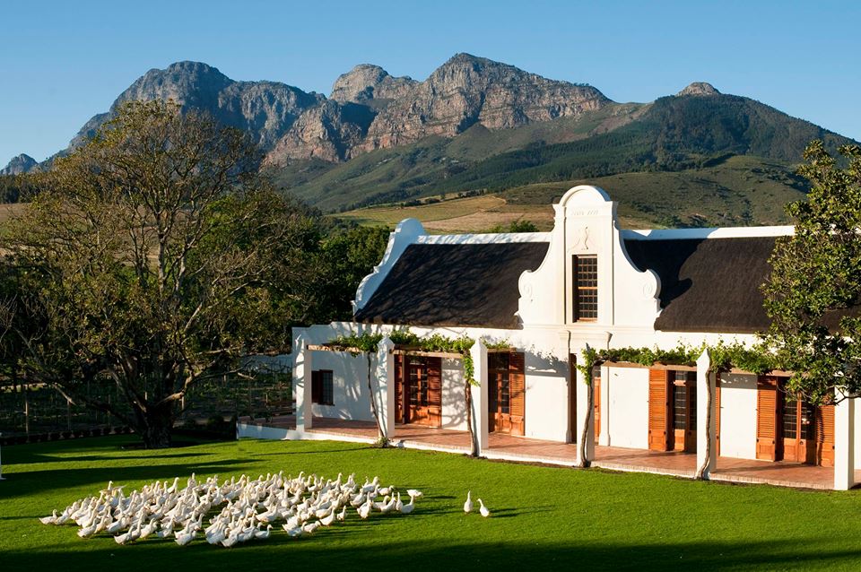 Notre avis : Babylonstoren