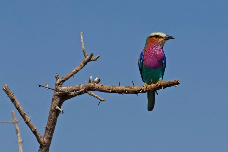 A sight to behold while on walking safari