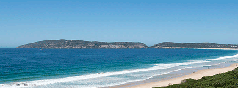 Robberg from a distance