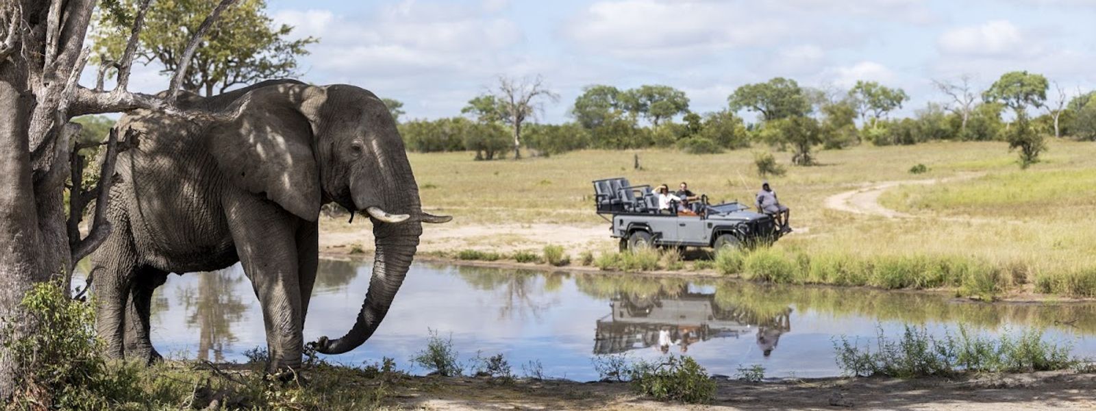 Su primer safari en África