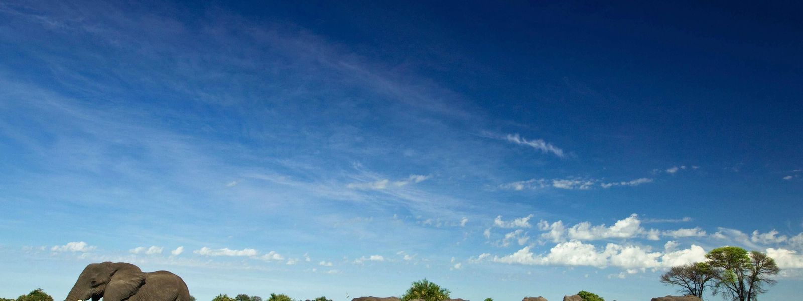 8 raisons de visiter le Botswana pendant la Saison des Pluies