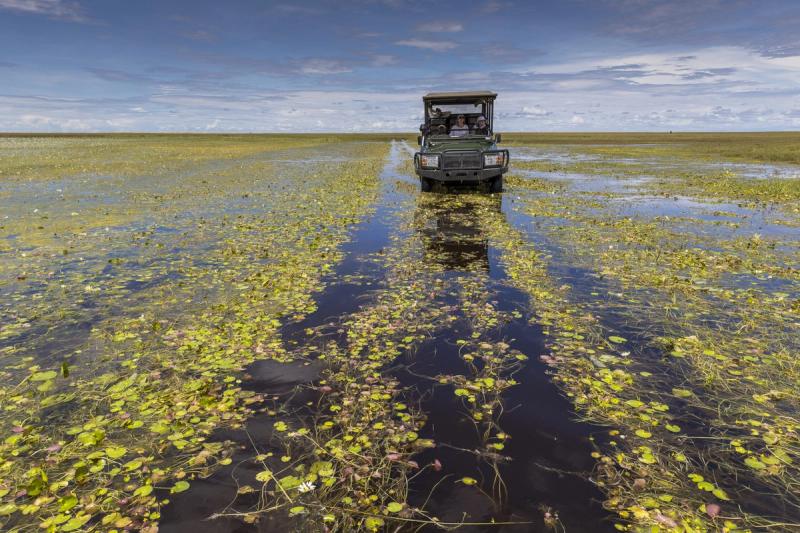 Liuwa game drive