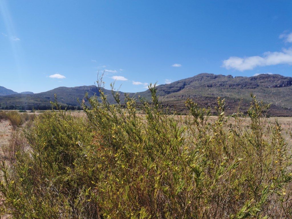 Cederberg Ridge Wilderness Lodge | Review 2019
