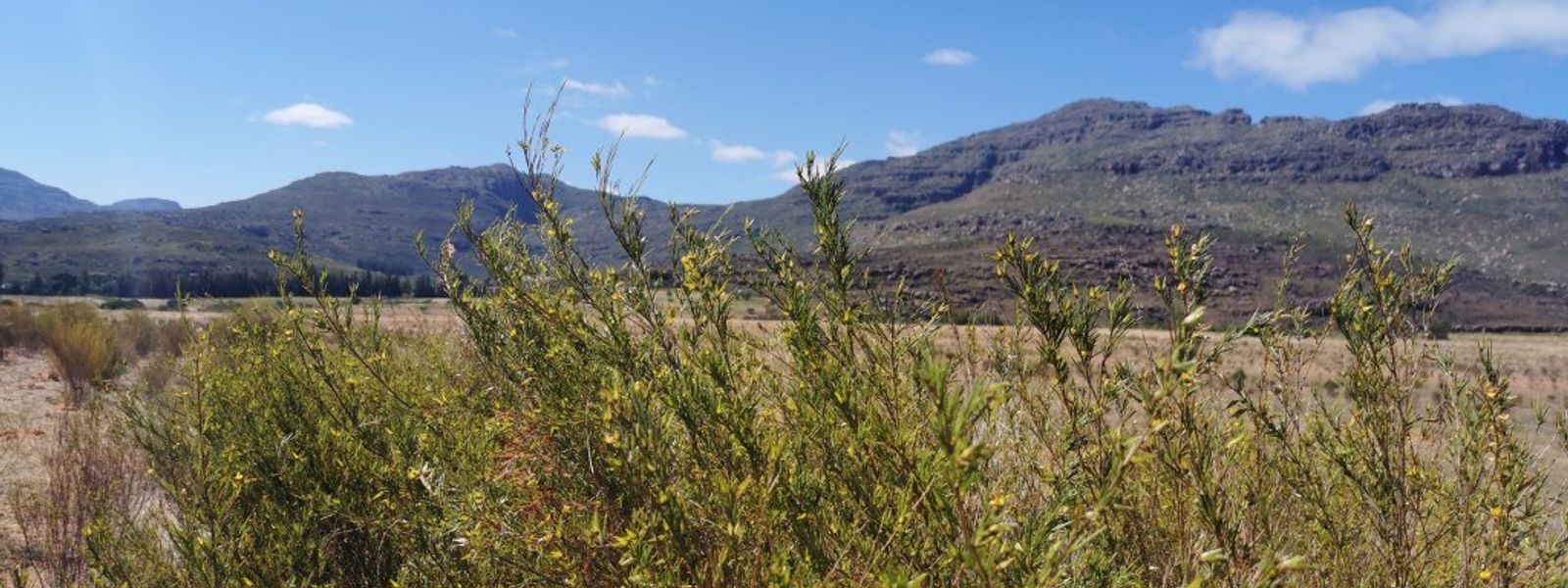 Cederberg Ridge Wilderness Lodge | Review 2019