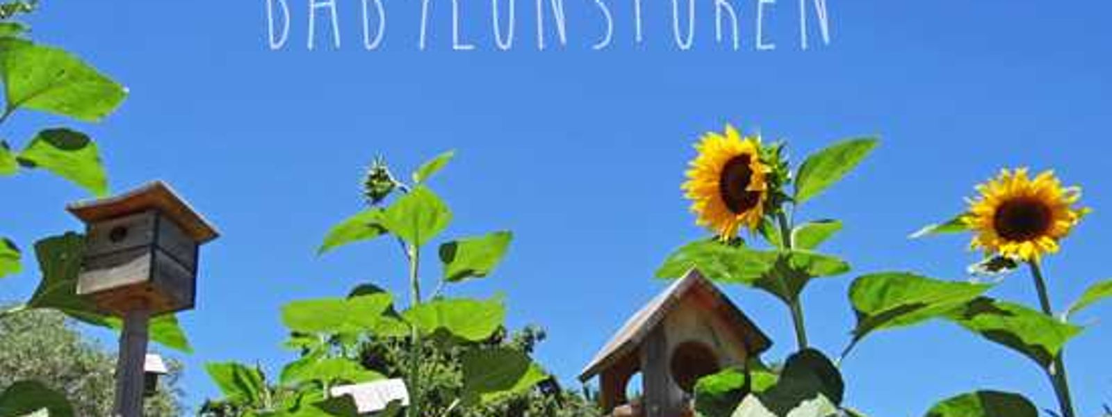 Holiday To-Do List #1: Babylonstoren
