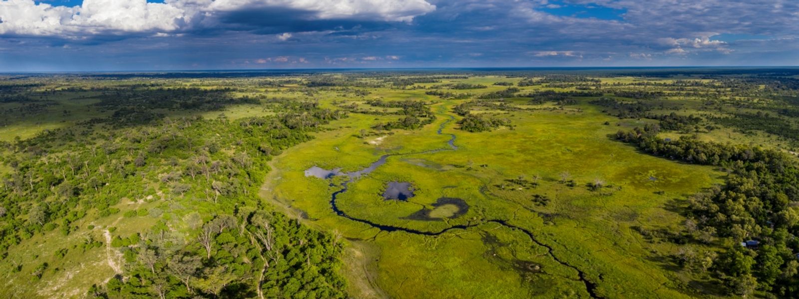 10 Reasons the Green Season Makes for an Extraordinary Botswana Safari