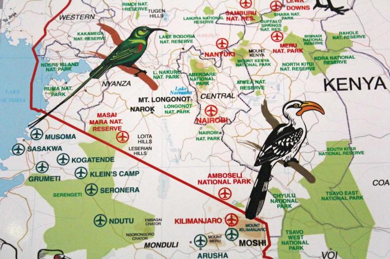 The Masai Mara
