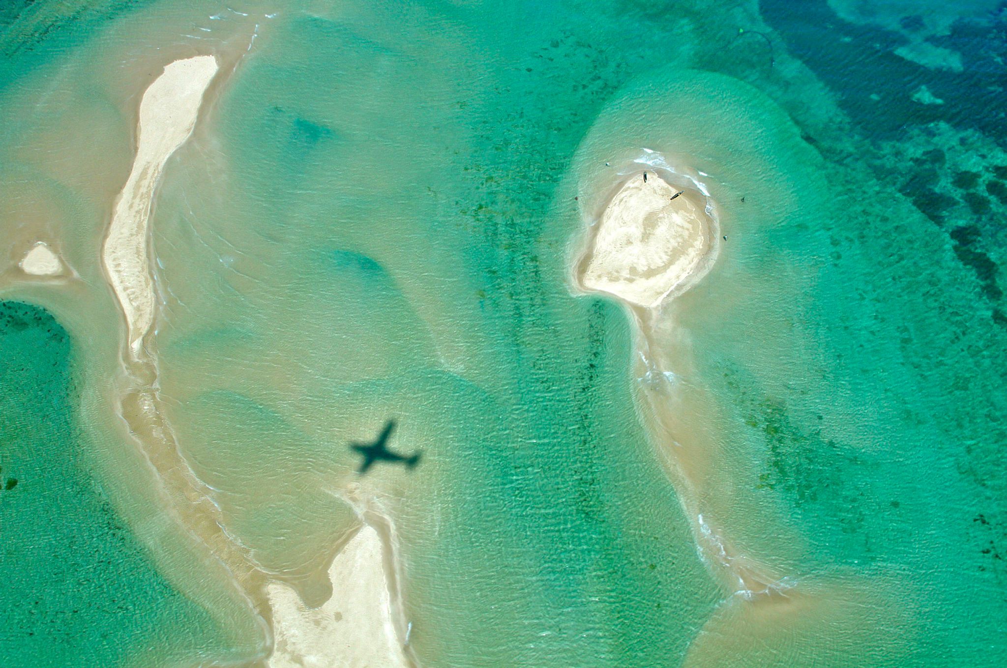 Las 4 Principales Razones para eligir unas Vacaciones en una Isla y un Safari
