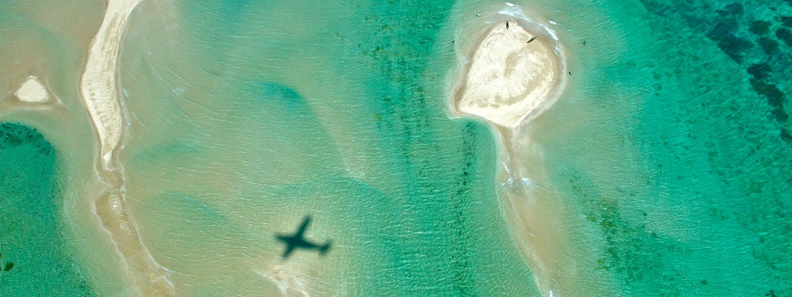 Las 4 Principales Razones para eligir unas Vacaciones en una Isla y un Safari