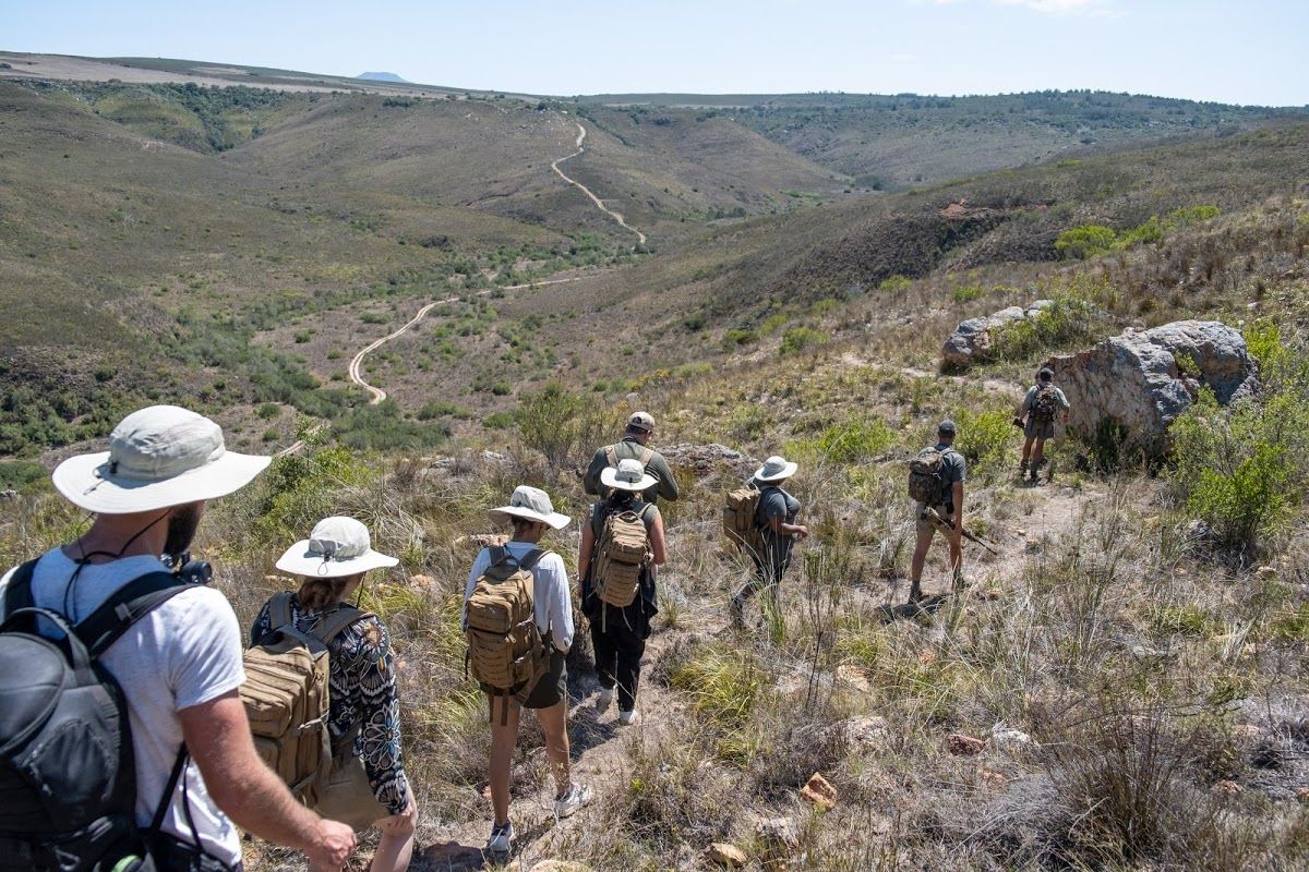 Gondwana : Pioneer Trail | Review 2020