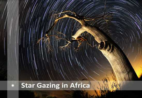 Rhino Africa's Star Gazing Hot Spots