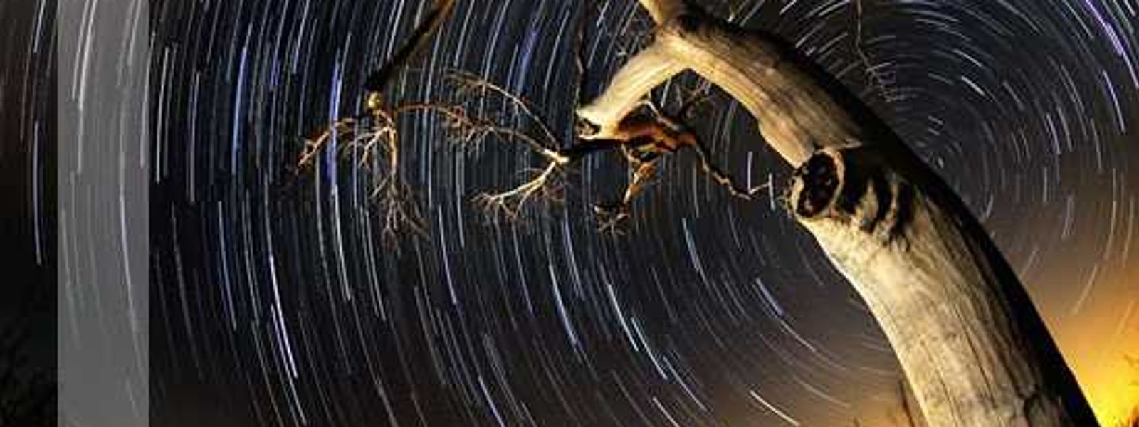 Rhino Africa's Star Gazing Hot Spots