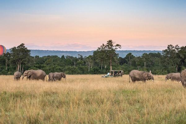 East Africa in Pictures: Wild Encounters and Tropical Horizons