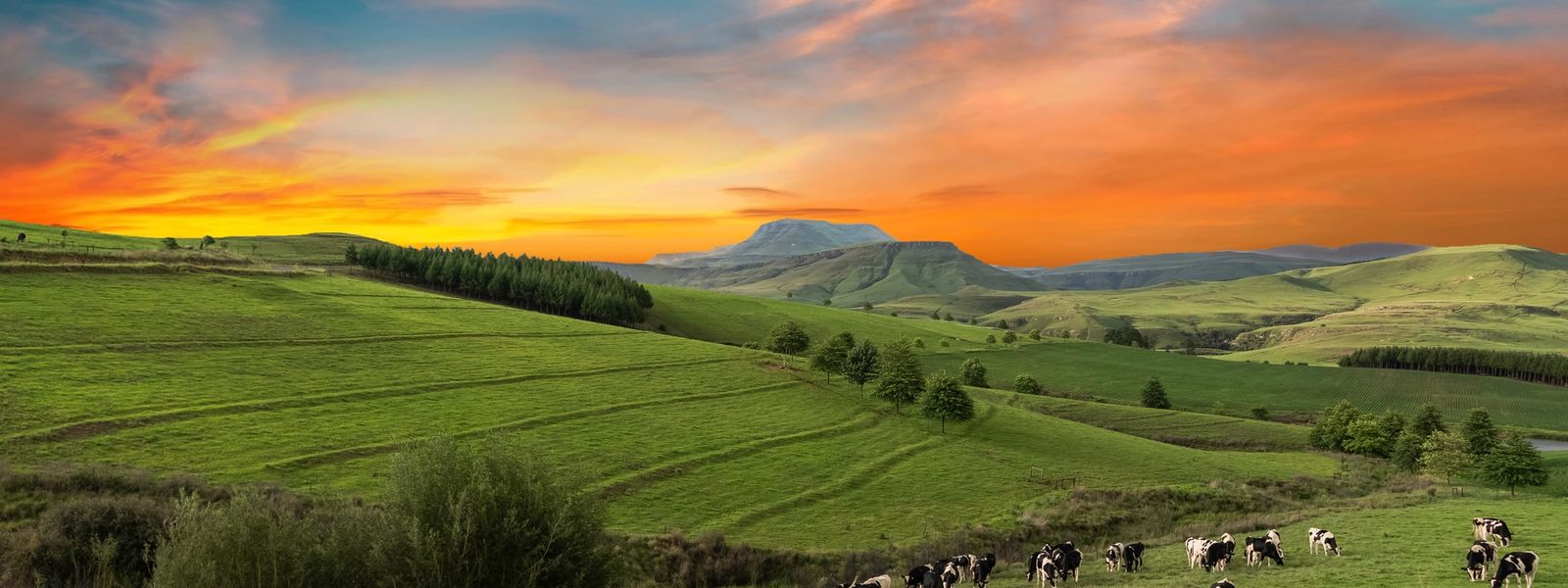 Ihr KwaZulu-Natal Reiseguide